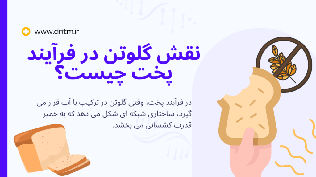 نقش گلوتن در فرآیند پخت