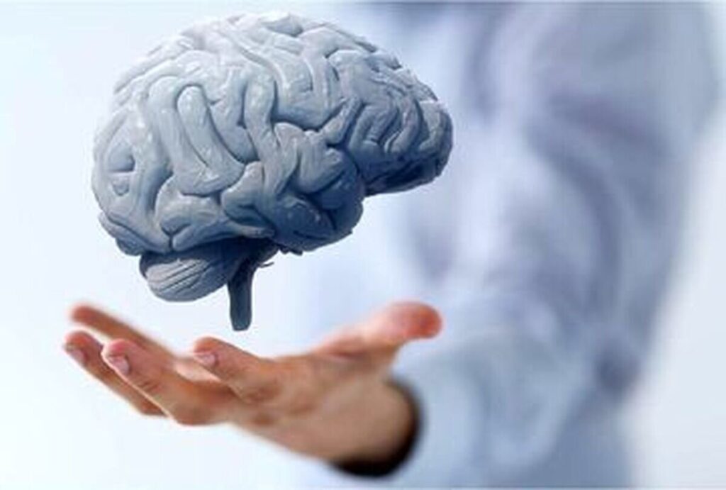 مراقبت از سلامت مغز با چهار رفتار ساده و کلیدی