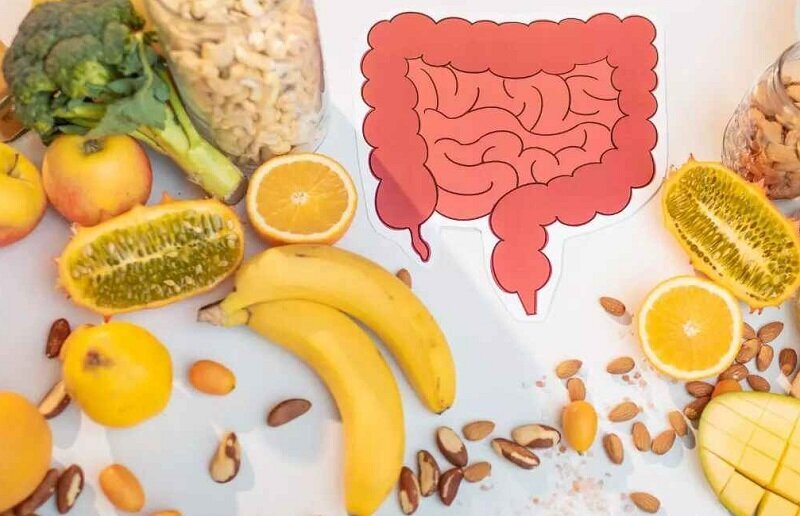 انتخاب‌های گیاهی موثر برای حفظ سلامت روده