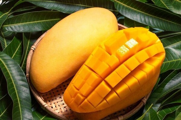 تأثیر مصرف روزانه انبه بر احساس سیری، نسبت دور کمر به باسن و کنترل قند خون
