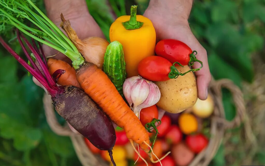 نکاتی برای حفظ سلامت و جوانسازی پوست با مصرف سبزیجات و میوههای رنگی
