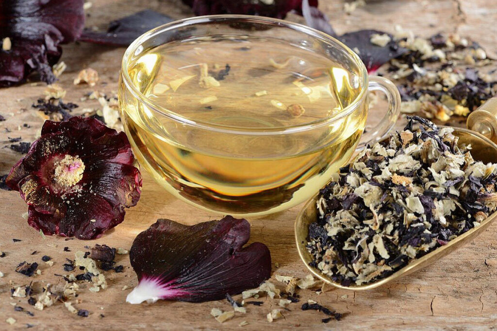 استفاده مجدد از گیاه ختمی برای تسکین گلو و کاهش سرفه؛ راه‌های مصرف مناسب